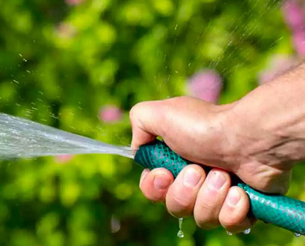 Enhance Your Garden with Goldsione PVC Hoses